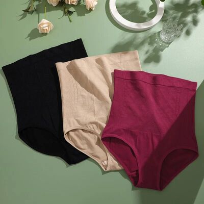 Seamless High Rise Shaping Panties Women Slimming Control Sh
