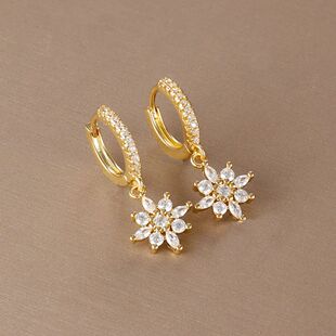 Stainless Steel Star Dangle Earrings For Women Sparkling Zir