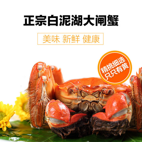 大螃蟹母蟹白泥湖大闸蟹礼盒