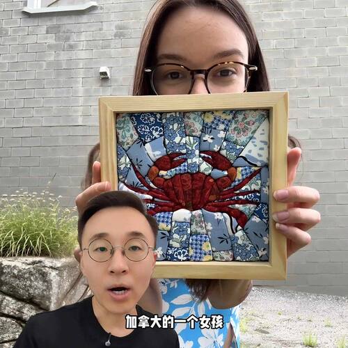 绢彩画碎布拼贴画diy无针免縫紉布拼布画创意布艺装饰画刺绣套装