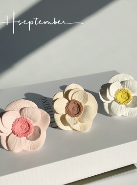 创意车载花朵出风口扩香石