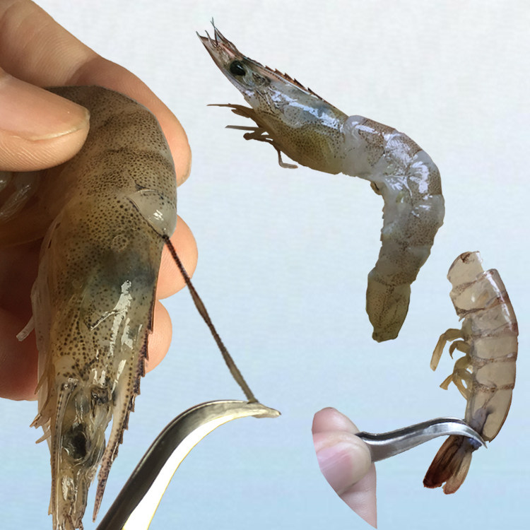 去虾线剥虾壳神器二合一小龙虾皮开背生厨房用镊拔刀工具剪取虾仁