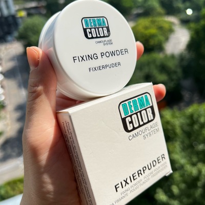 德国进口KRYOLAN防水遮瑕定妆散粉20g控油哑光色号P11