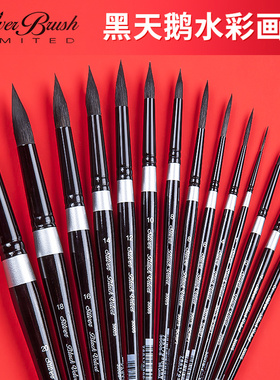 美国BlackVelvet黑天鹅水彩笔松鼠毛圆头尖头6号8号水彩画笔10号4号绘画毛笔手绘勾线笔3000S美术专用绘画笔