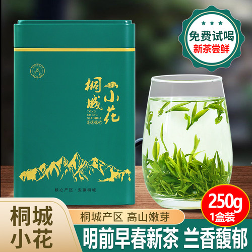 桐城小花2026年新茶口感鲜爽回甘