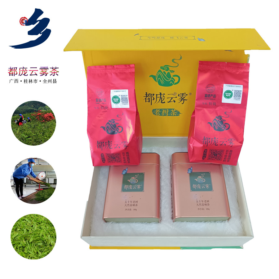 都庞云雾全州红茶绿茶黄色礼盒可选（全州县-东山瑶族乡）
