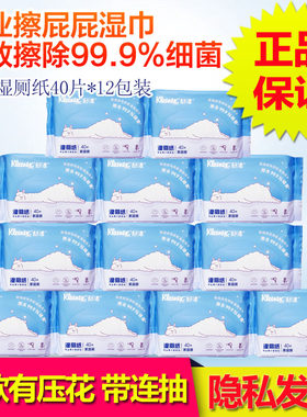 40片12包孕期痔疮啪啪舒洁湿厕纸