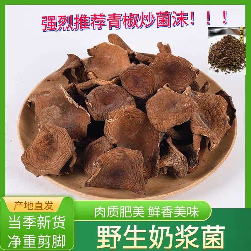 奶浆菌干货奶子菌新货云南牛肝菌爆炒辣椒下饭菜手工精选散装素食