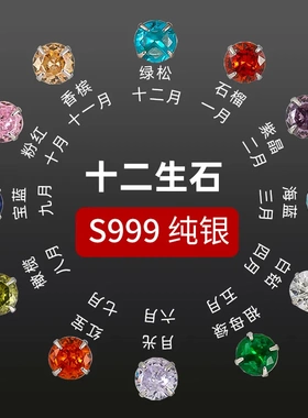 S999银新品十二生辰石耳钉女养耳洞四爪彩钻耳饰日常百搭潮