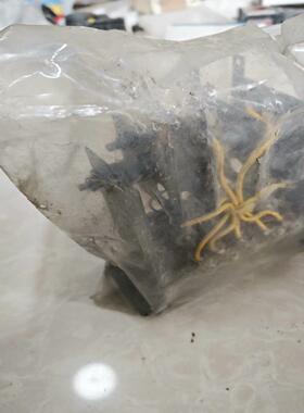 船用模块6M4M100C(雅子机械）