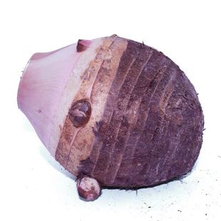 宁波奉化新鲜芋头现挖现发香芋头粉糯紫心芋头