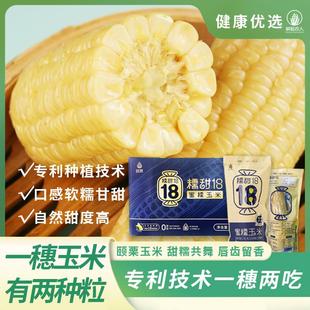 张家口甜糯玉米香甜玉米棒真空独立包装代餐新鲜玉米220g*8根