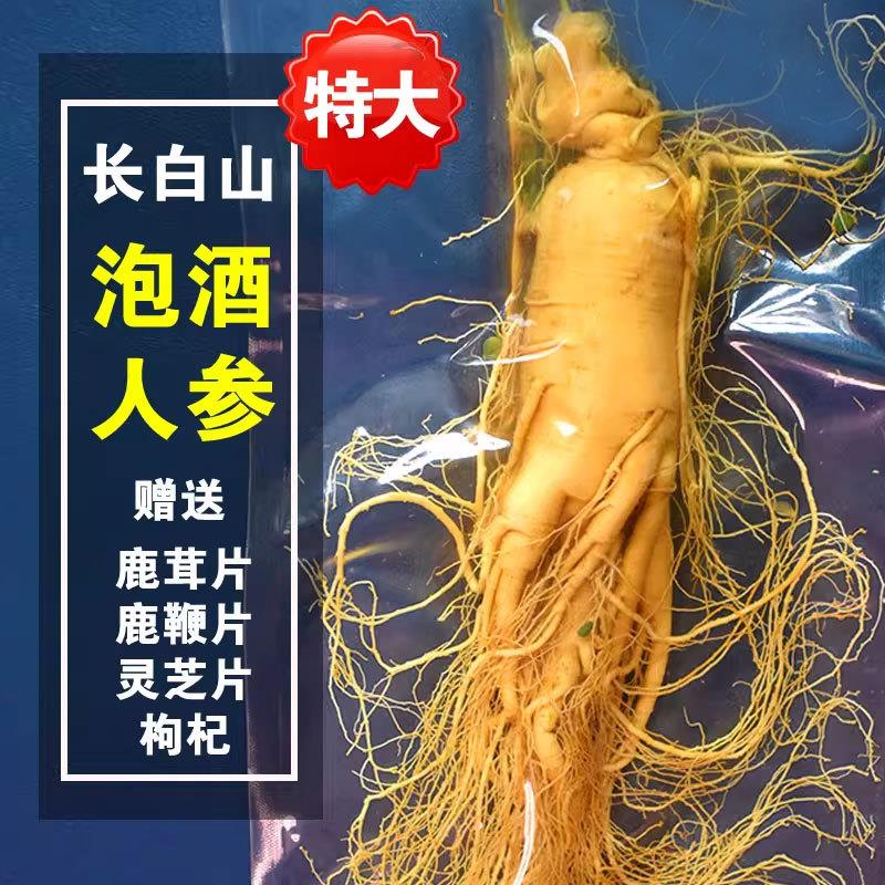 长白山鲜人参泡酒专用东北特产人参250g鲜人参泡酒用园参吉林产保