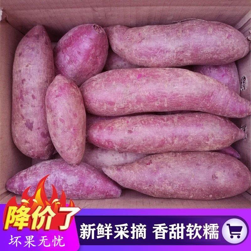 紫薯新鲜农家自种沙地红薯3/5/9斤紫罗兰蜜薯糖心甜山芋番薯地瓜