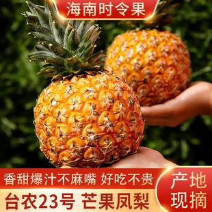 海南芒果凤梨新鲜水果当季整箱热带纯甜大果台农23号
