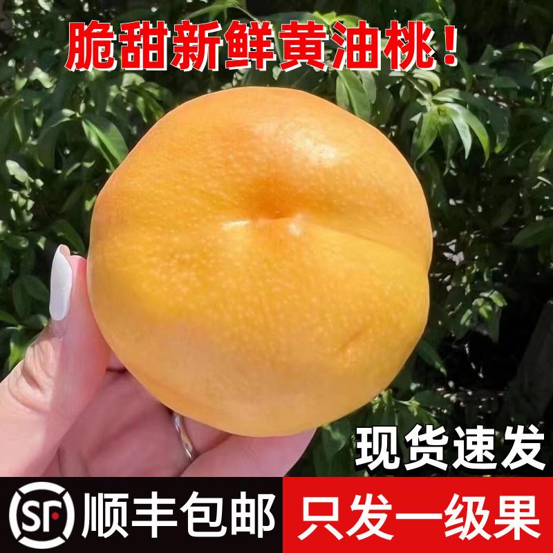 马鲛鱼圈特产甜桃子黄桃黄金油桃当季奶油桃新鲜水果送礼顺丰包邮