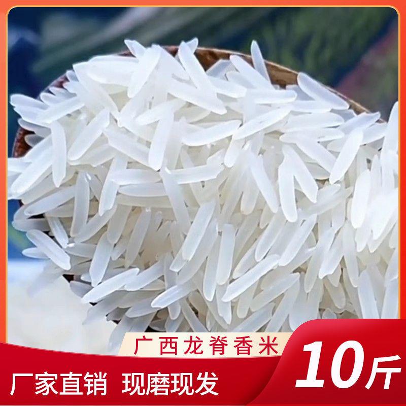 正宗长粒香米广西梯田长粒大米现磨农家新米5kg厂家现磨现发香米