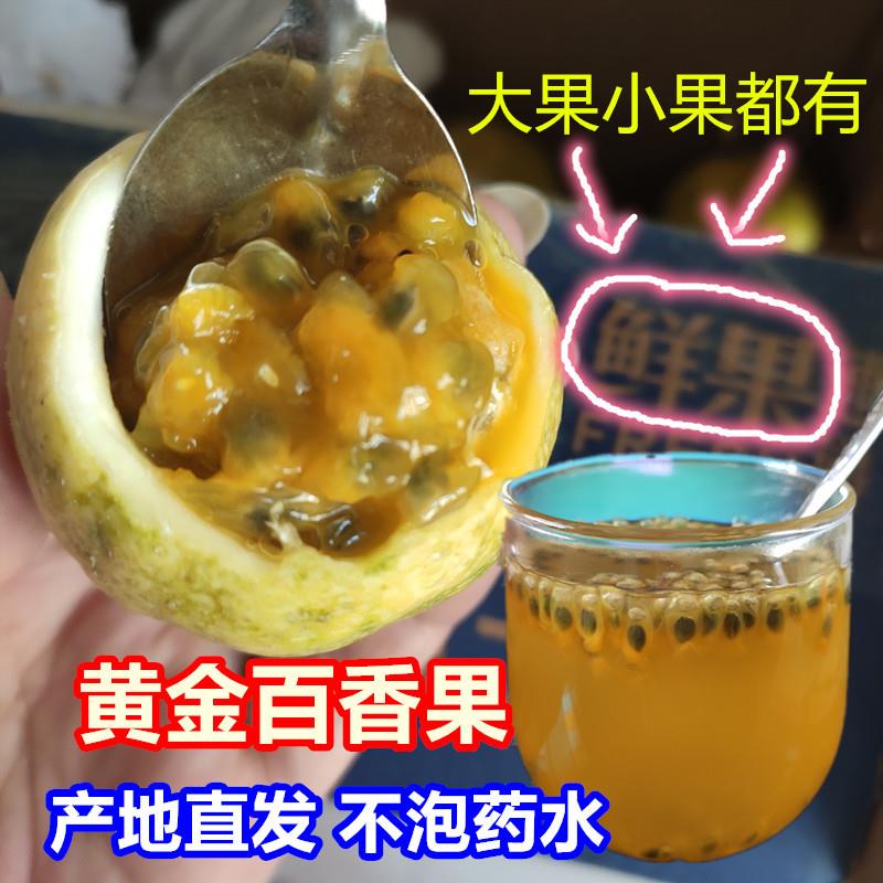 钦蜜9号黄金百香果 纯甜不酸黄色百香果黄皮百香果