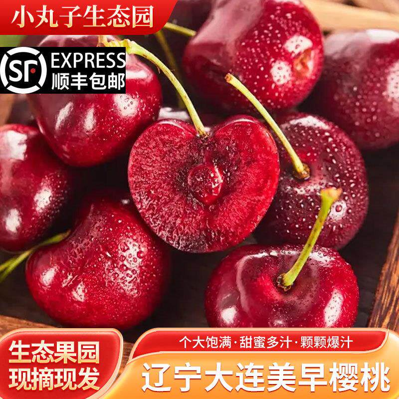 辽宁大连美早樱桃新鲜采摘国产车厘子孕妇水果自家种植顺丰包邮