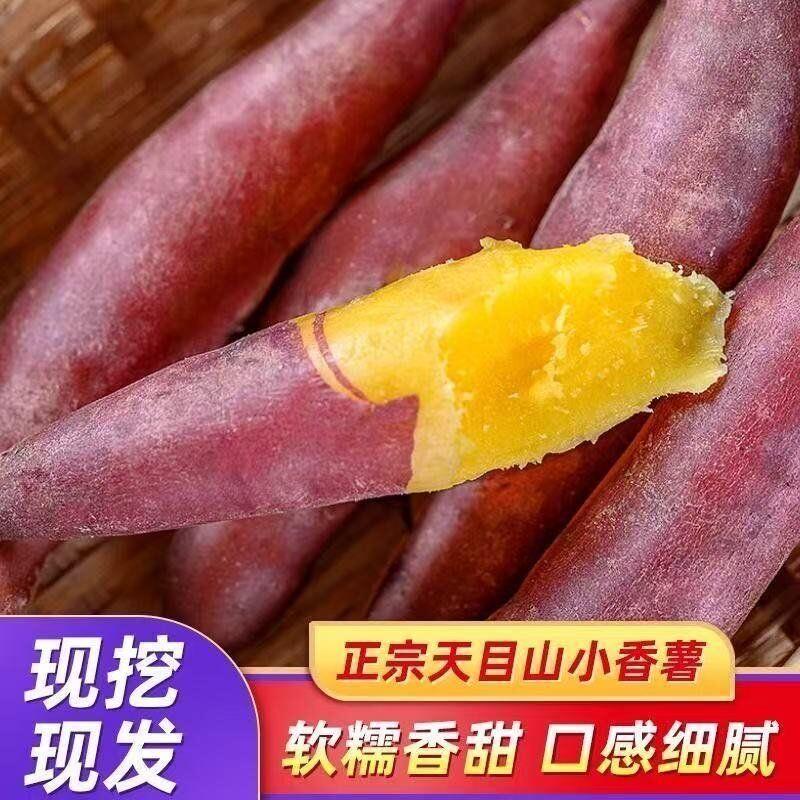 临安天目山小香薯正宗金手指板栗薯迷你红薯香甜新鲜农家自种