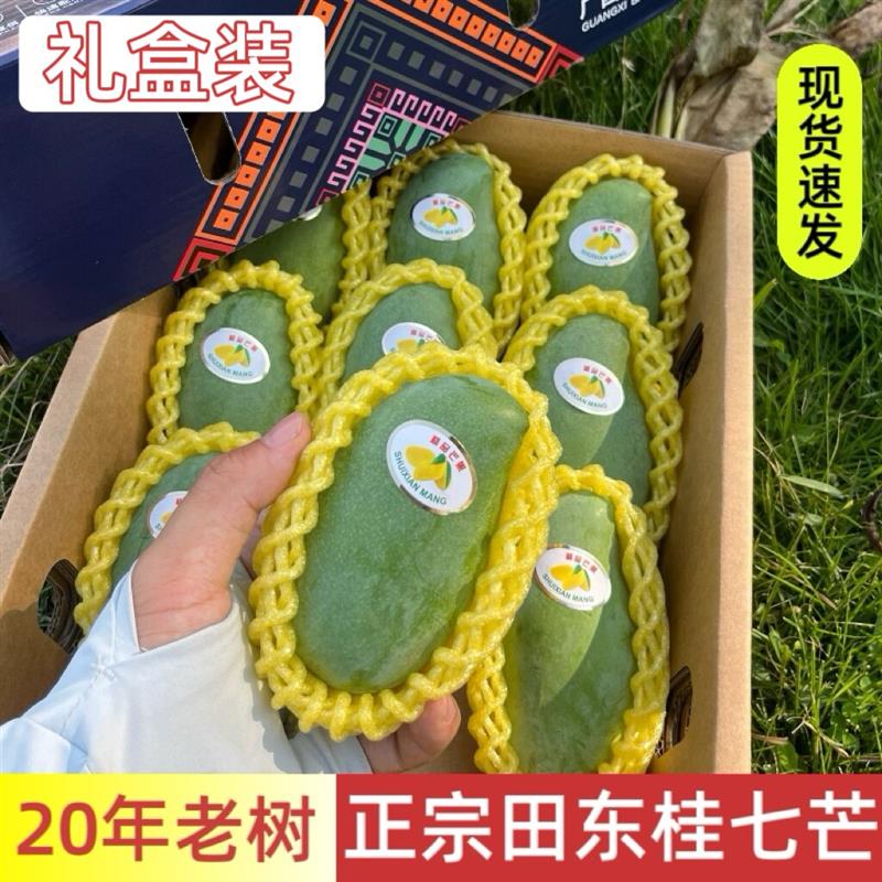 正宗广西百色桂七芒果10斤礼盒装新鲜水果正宗田东桂七芒当季包邮