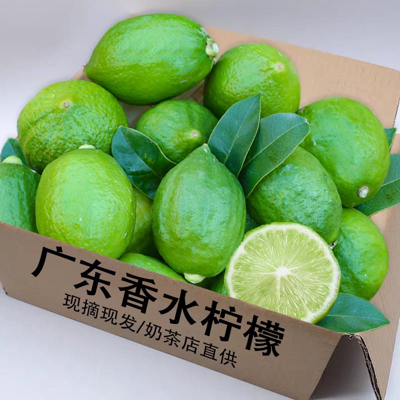 正宗广东香水柠檬新鲜一级当季水果10斤包邮青柠檬奶茶店商用整箱