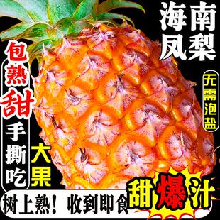 海南金钻凤梨9斤台农17号发树上熟当季热带新鲜水果手撕凤梨整箱