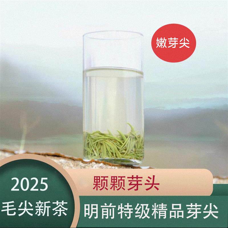 信阳毛尖2025新茶明前特级嫩芽绿茶散装春茶全芽尖茶叶500g可送礼