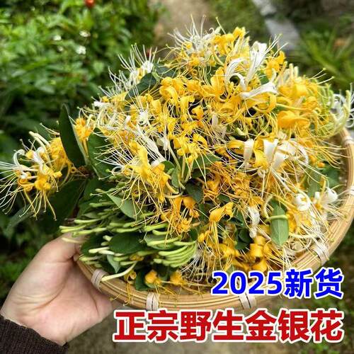 野生特级金银花250g金银花干燥花泡茶洗澡正品中药材