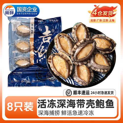 鲜活冷冻深海吉品鲍鱼带壳8-12头