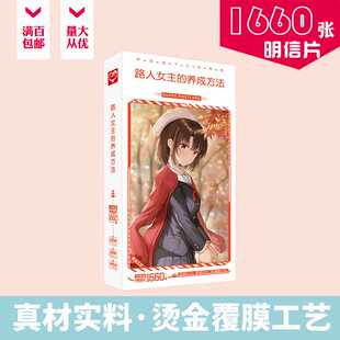 路人女主 1660张女主角培育法小卡片节日礼物 养成方法明信片盒装