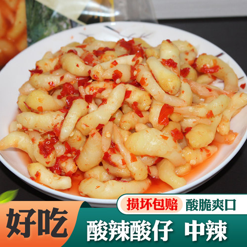 醋泡姜酸姜芽鲜嫩姜仔酸姜嫩姜