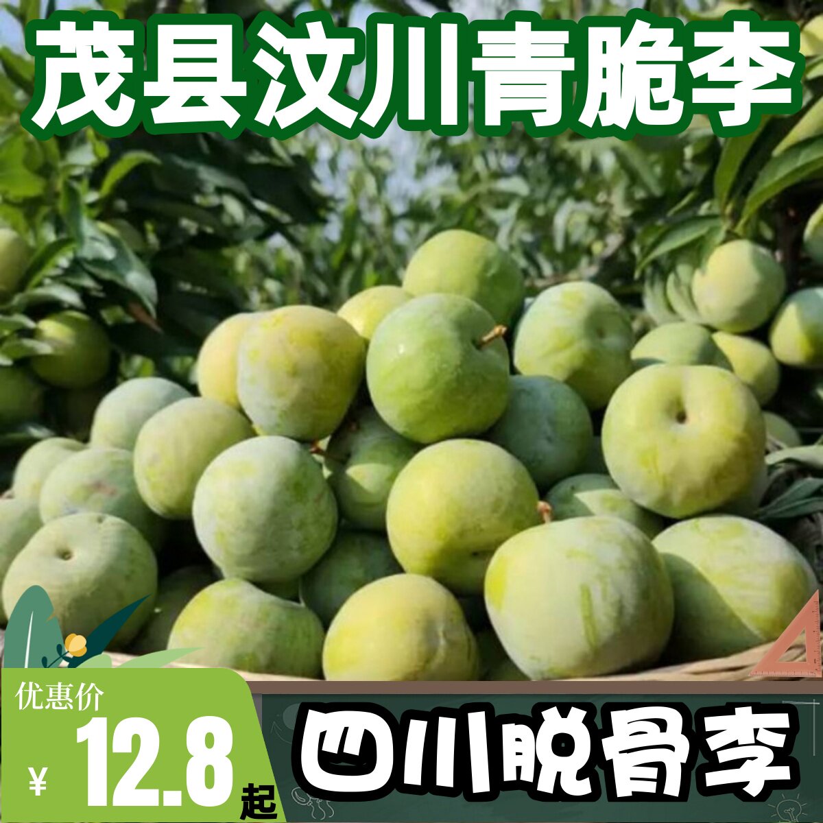 现摘四川青脆李子茂县汶川脱骨李