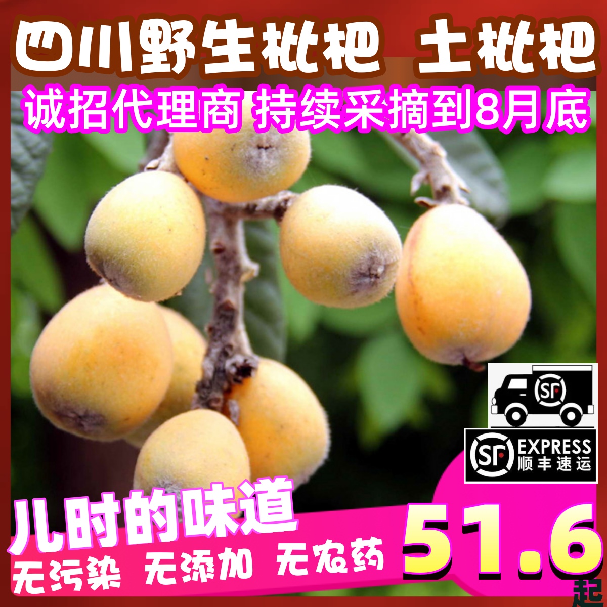 新鲜枇杷野生土琵琶水果当季