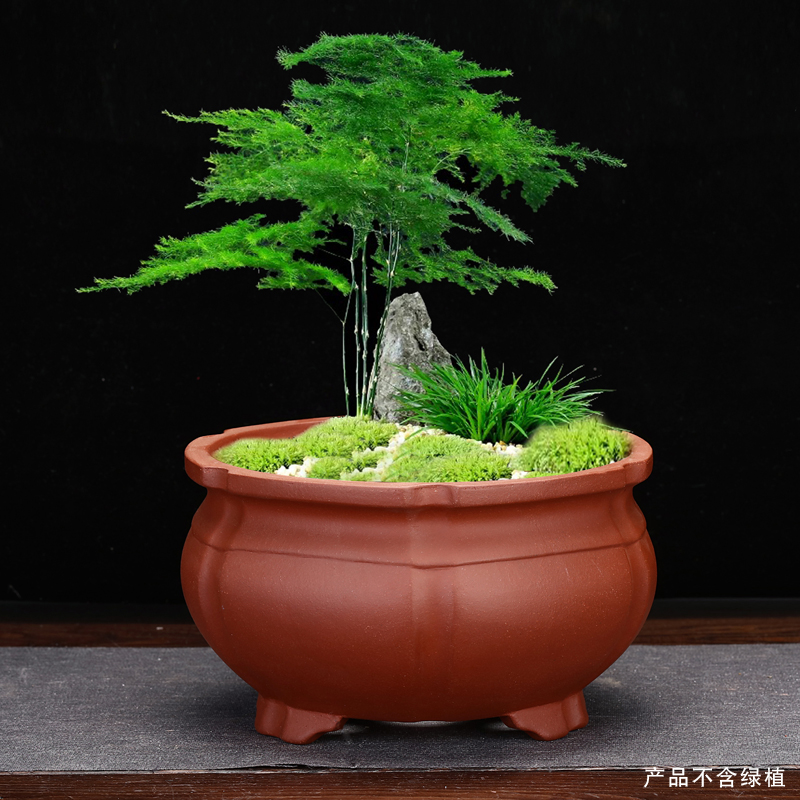 宜兴紫砂花盆仿古圆形桌面兰草多肉金弹子老桩绿植客厅盆景盆包邮