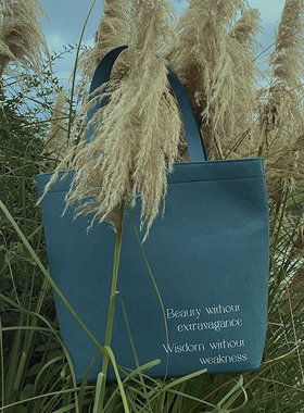 TabulaRasa x Gooeymead合作款原创设计通勤毛毡包日常休闲时髦