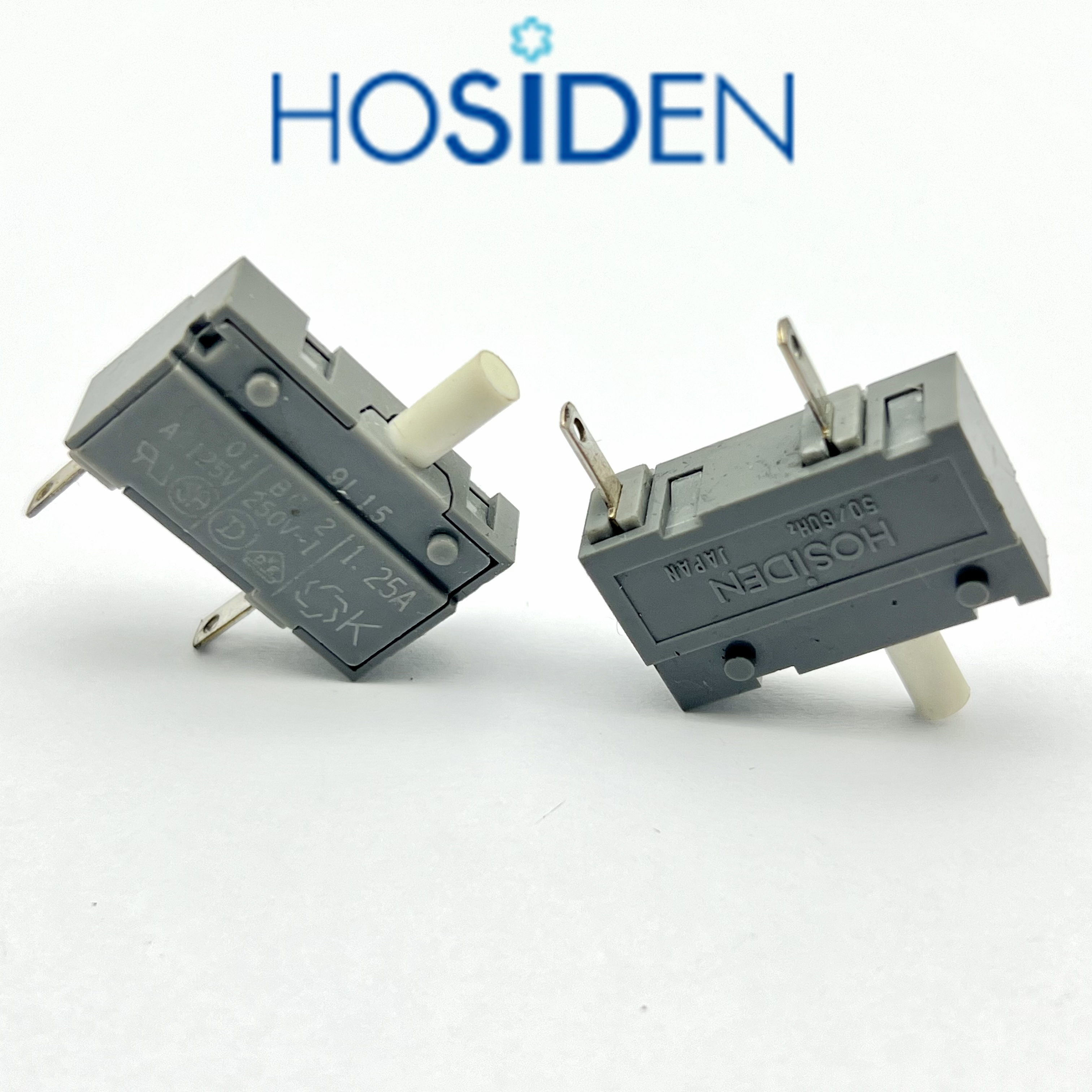 日本HOSIDENBC601AC125V3.15A