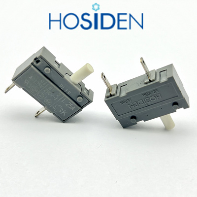日本HOSIDENBC601AC125V3.15A