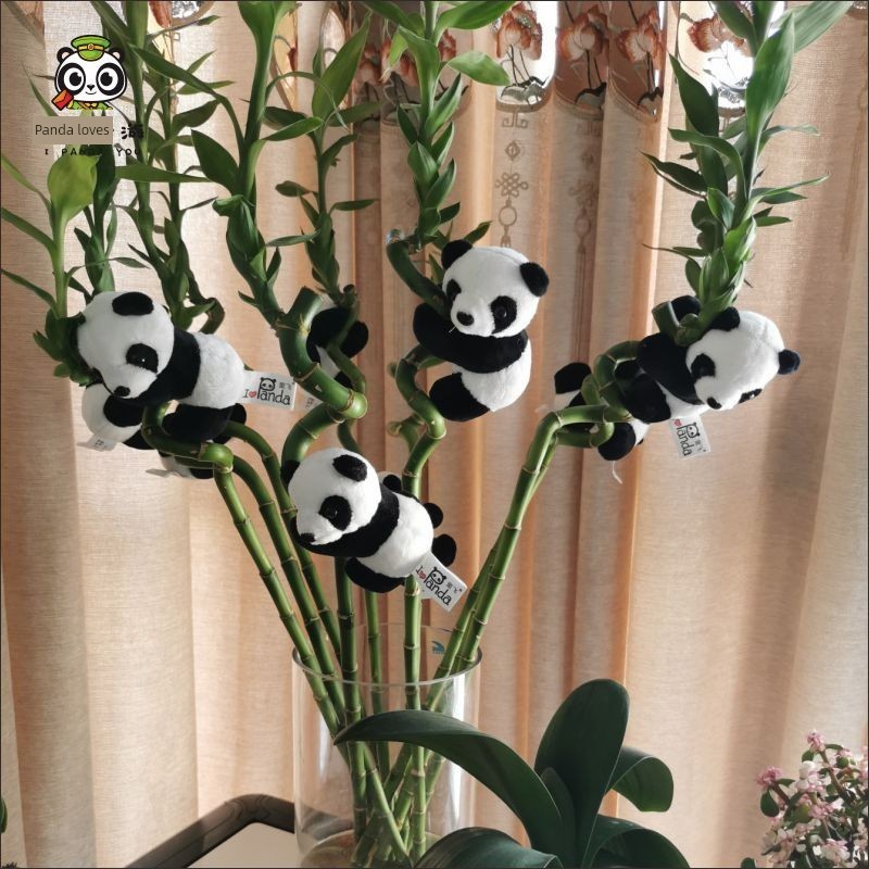 熊猫富贵竹子装饰毛绒夹子家居绿植摆件小玩偶公仔成都文创纪念品