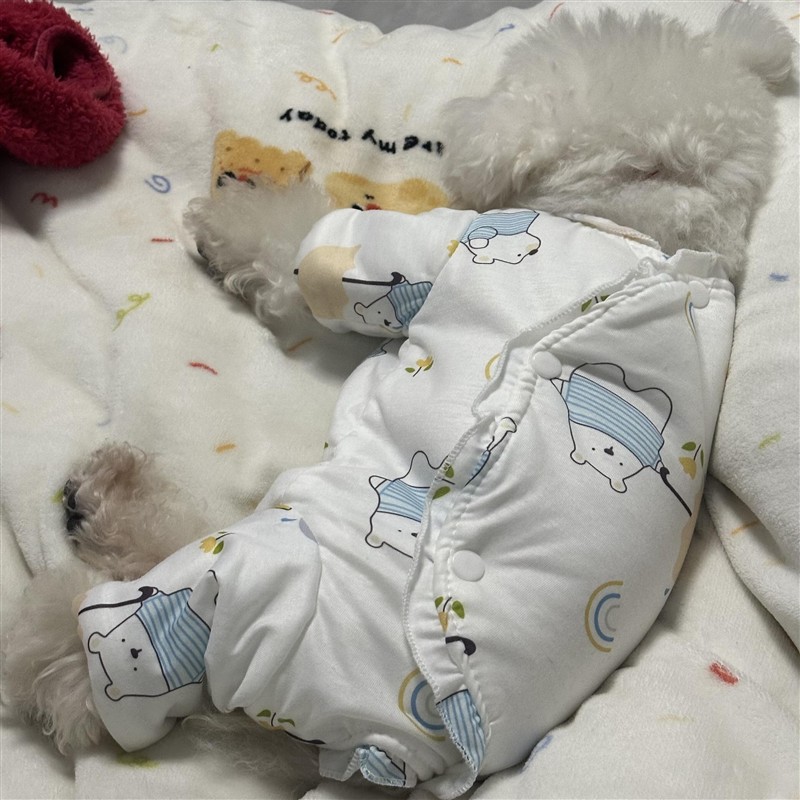 狗狗睡衣纯棉加厚家居服博美四脚包肚衣小型犬专用秋冬季比熊衣服