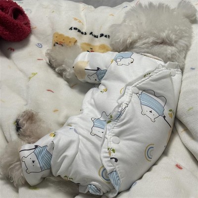 狗狗睡衣纯棉加厚家居服博美四脚包肚衣小型犬专用秋冬季比熊衣服