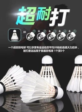 羽毛球12支装6个装耐打羽毛球白色黑色室外学习训练球
