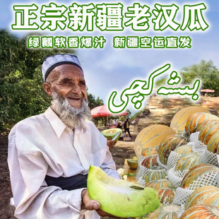 正宗新疆老汉瓜口感软糯多汁入口即化甘甜皮薄精品产地果园空运
