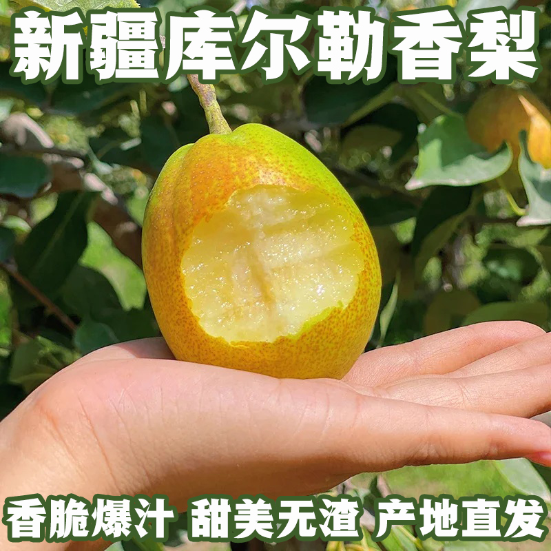 新疆库尔勒香梨香甜爆汁梨