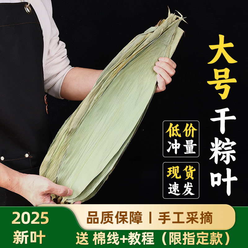粽叶免邮新鲜大号棕叶粽叶送绳子