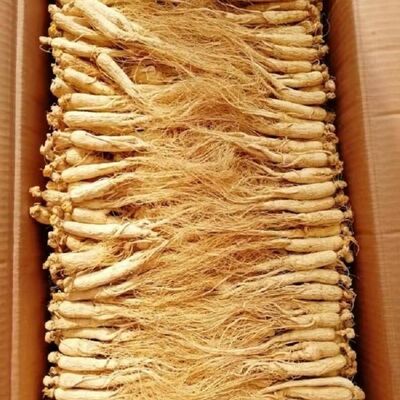 商用小干参饭店茶社用