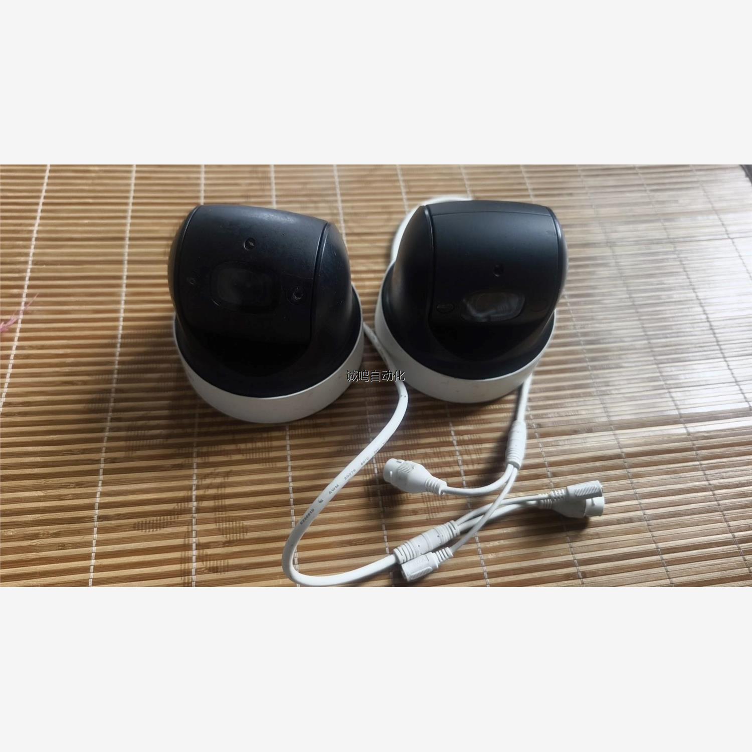 大华室内球机，型号DH-SD2904-GN，功能包好 议价
