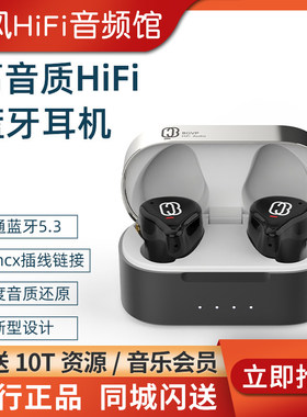 BGVP/焱声 Q3真无线TWS蓝牙耳机圈铁入耳式HIFI音乐电竞运动有线