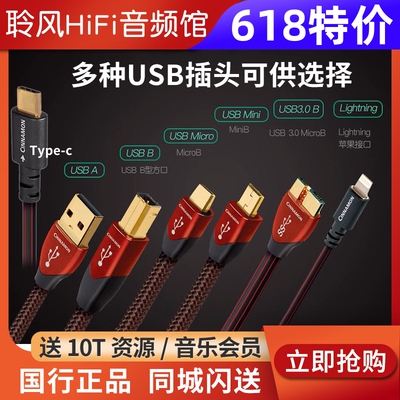 线圣AQ肉桂Cinnamon解码耳放线AB