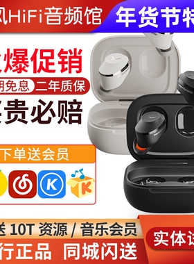 beyerdynamic/拜雅 阿米罗Amiron300真无线蓝牙降噪耳机HiFi耳塞